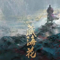 藏海花电视剧