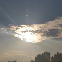 小说小白杨续写