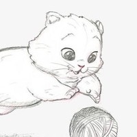 自编笑猫日记