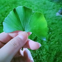 每个人都有遗憾