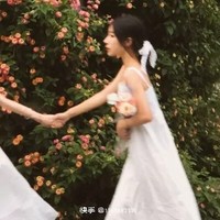 玫瑰枝雨樂團