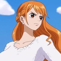all娜美
