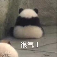 兒子的作品