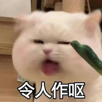 校园女强奋斗学习