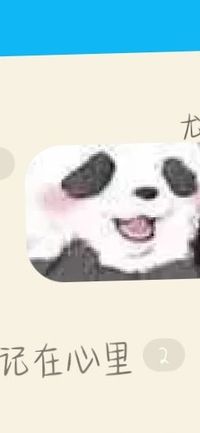 女主不洁