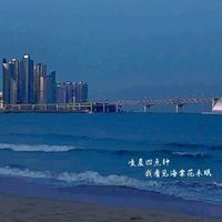 MS枫星