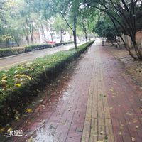 不一样的乱炖
