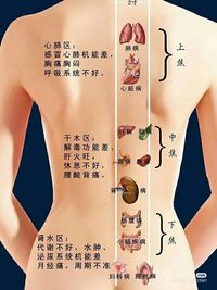 了解美容养生