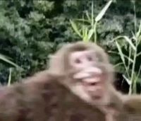 看似严谨实则搞笑