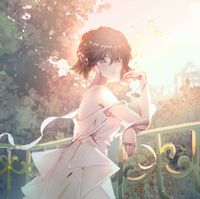 花百宇宙