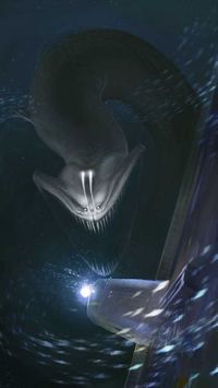 畸变生物