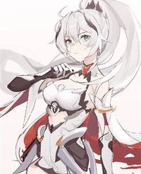 双琪