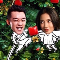 布谷