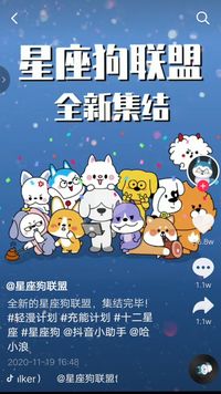 星座狗