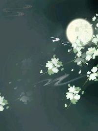 傻d文