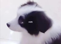 加油要天天开心呀