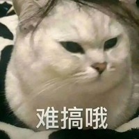 我又双叒叕开坑了