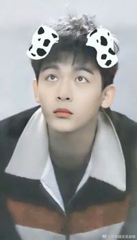 赵丽颖张晚意