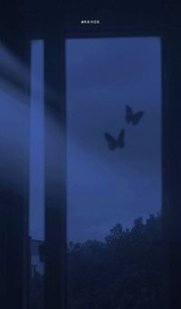 小月CP瑞拉殿下