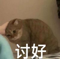这是楠桐文
