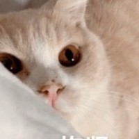 算个命