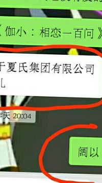 夏氏集团有限公司
