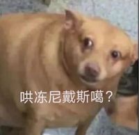 都市日常