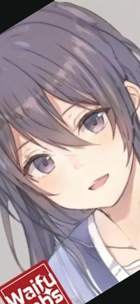 單男主多女主