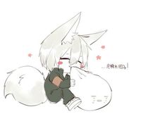 京狐