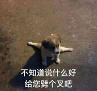 原創(chuàng)女主CP餃子