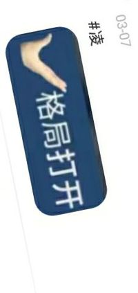 双女主双赴