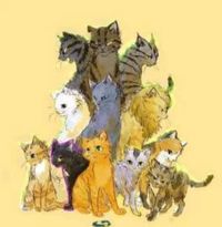 猫武士校园文