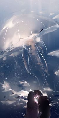水中月