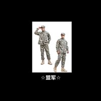 盟军军队