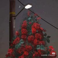 救赎向