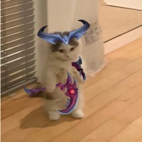LOL特色小说