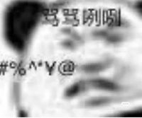 单身玫
