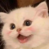 轻度all硕