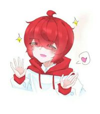团宠星仔