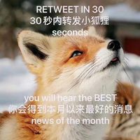 清緣運龍