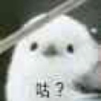 暂咕