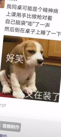 綠茶和他的暴躁少女