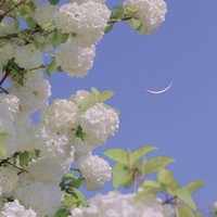 拔見云日文社