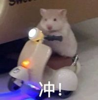顧安軒