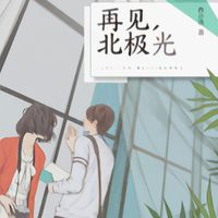 再见北极光