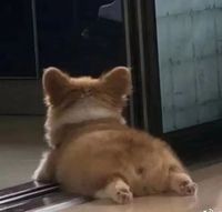 向理想奮斗