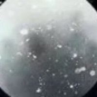 作者随手写的小东西