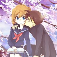 新兰党别进