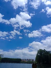 沈沐沐