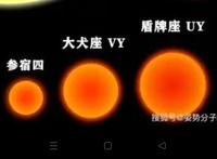 參盾之戀